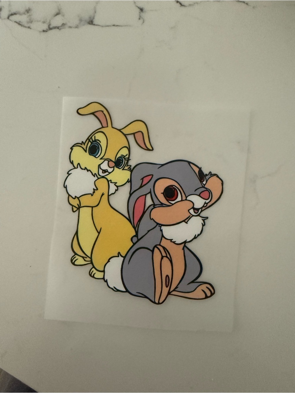 Disney Thumper DTF iron on for t-shirts
4 Inches